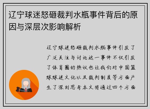 辽宁球迷怒砸裁判水瓶事件背后的原因与深层次影响解析