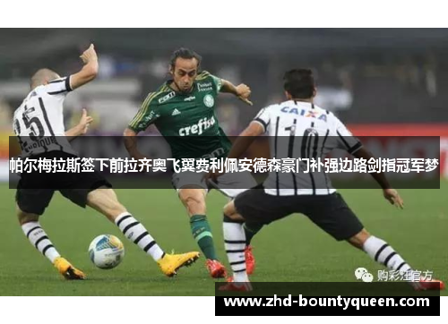 帕尔梅拉斯签下前拉齐奥飞翼费利佩安德森豪门补强边路剑指冠军梦