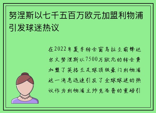 努涅斯以七千五百万欧元加盟利物浦引发球迷热议